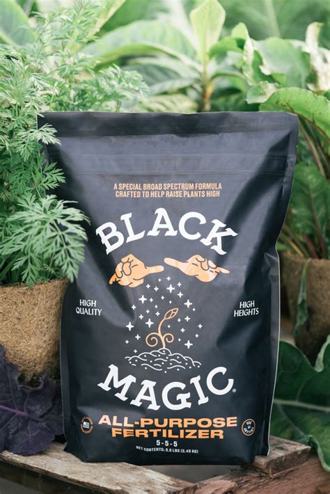 Boost the Eco-Friendliness of Your Garden with Blaco Magic Fertilizer